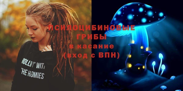 хмурый Аркадак