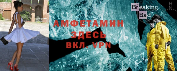 хмурый Аркадак