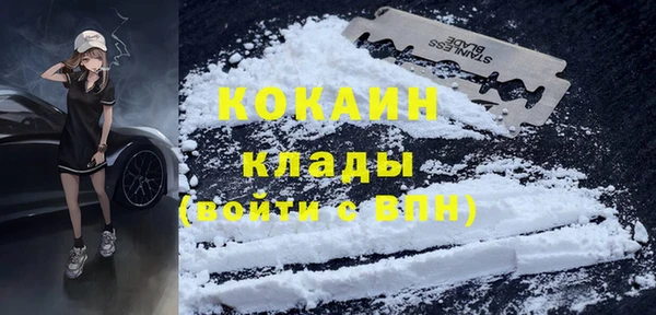 хмурый Аркадак
