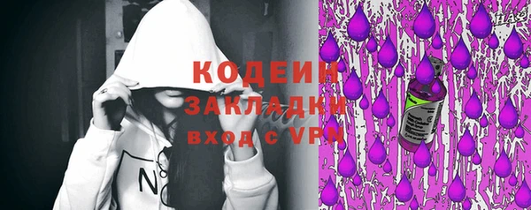 хмурый Аркадак