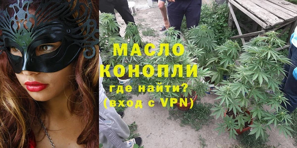 хмурый Аркадак