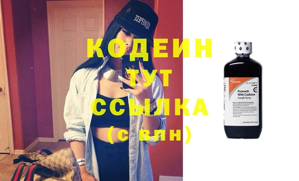 хмурый Аркадак